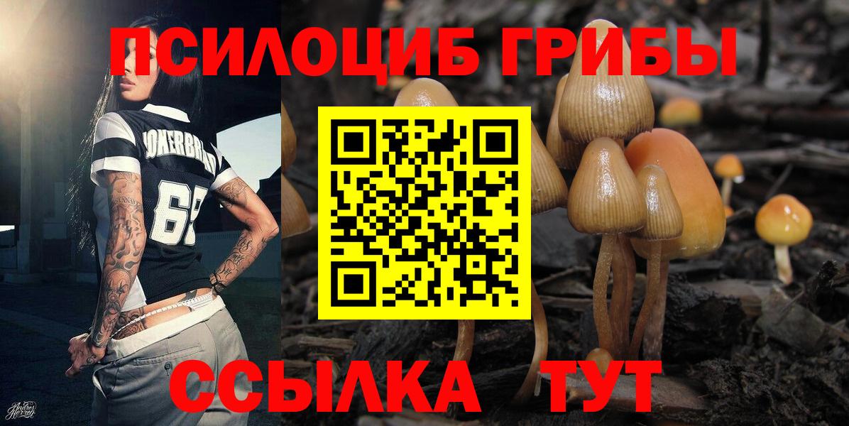 Псилоцибиновые грибы MAGIC MUSHROOMS  купить наркотики цена  Вход с VPN  Менделеевск  Псилоцибиновые грибы прущие грибы 