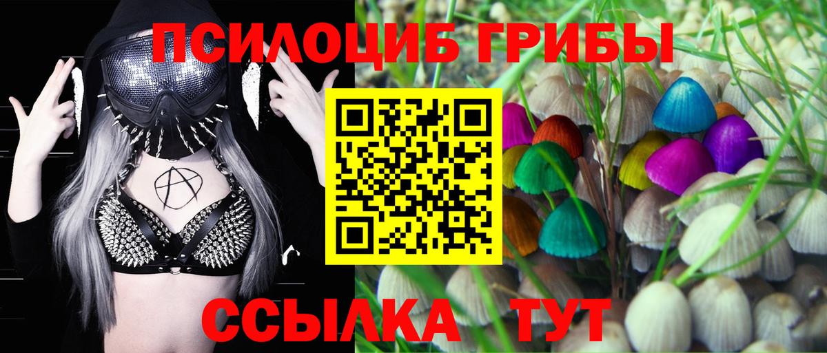Псилоцибиновые грибы ЛСД Менделеевск